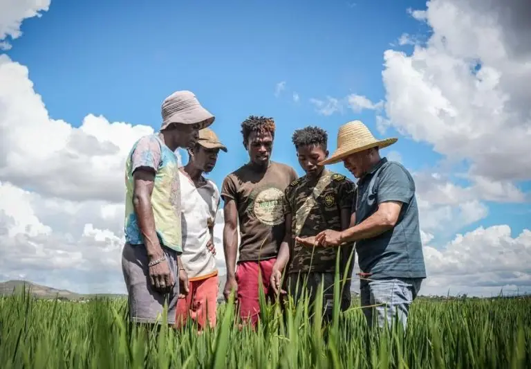 Chinese technological advances across various fields, notably in biotechnology, digital communications and artificial intelligence, have been contributing significantly to the development and modernization in Africa.